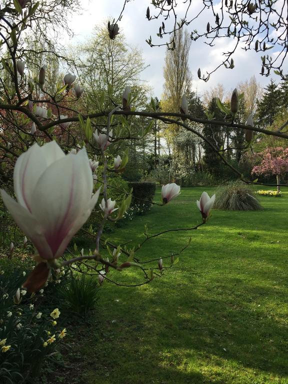 Le Domaine Des Loups Hotel Souchez Kültér fotó